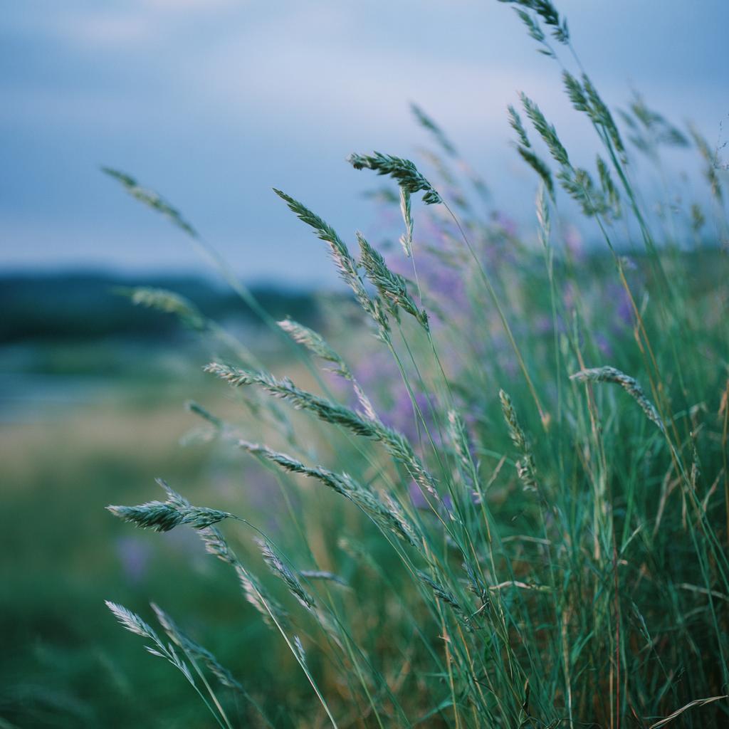 Hasselblad 500cm   Fujifilm Pro 400h 50mm F4 Iso 400 1200s Mi