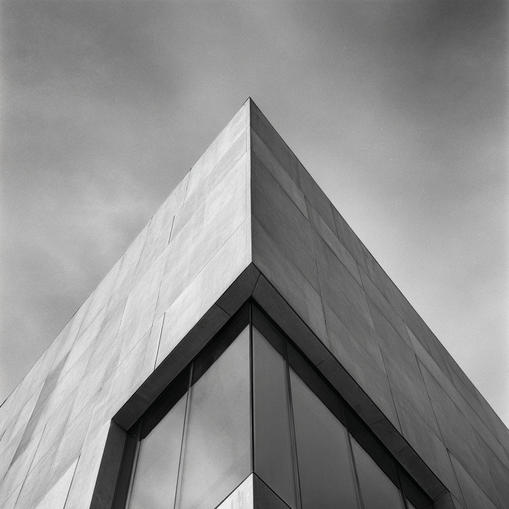 Hasselblad 500cm   Ilford Delta 100 150mm F5.6 Iso 100 1160s