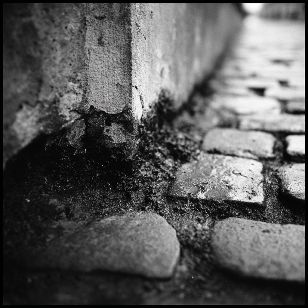 Hasselblad 500cm   Kodak Tri X 400 80mm F2.8 Iso 400 1250s Co