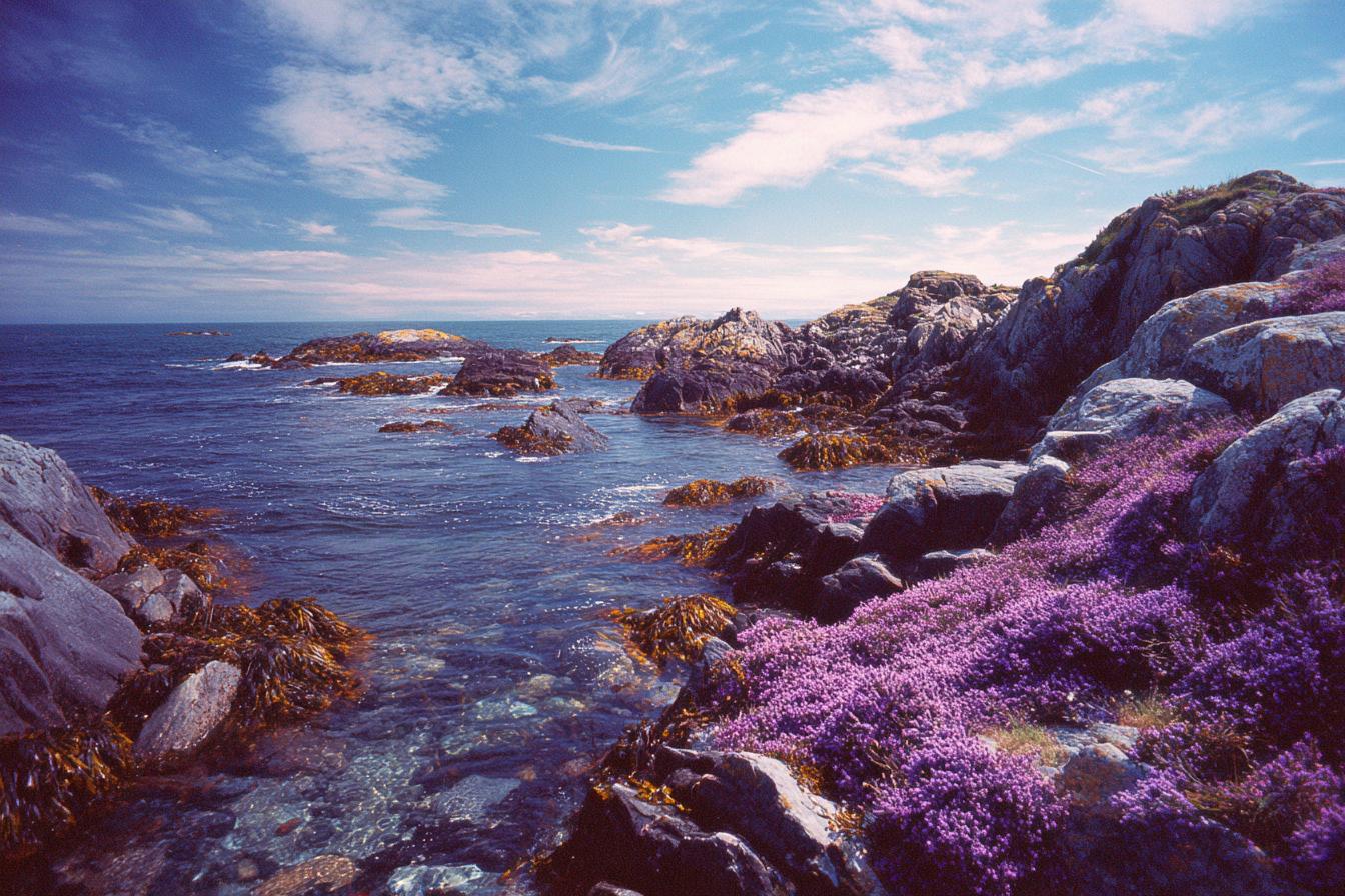 Kodak Retina Iiic   Kodak Ektar 100 35mm F5.6 Iso 100 1500s V