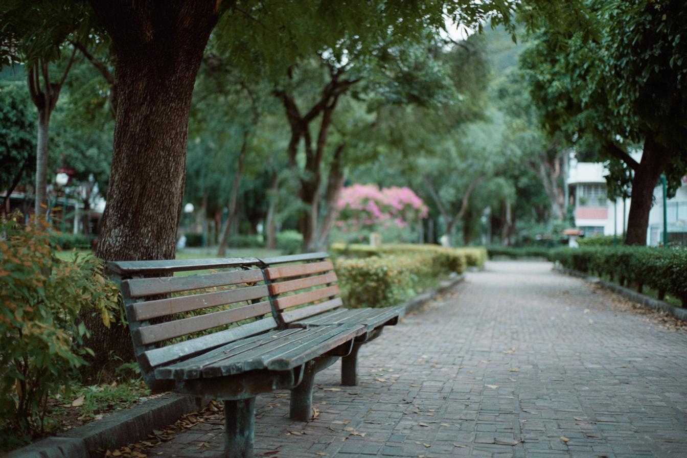 Leica M6   Fujifilm Pro 400h 40mm F2.8 Iso 400 1250s Pastel G