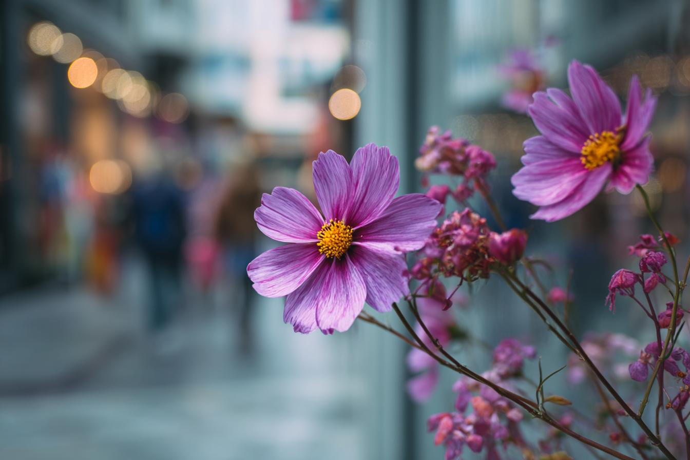 Nikon D500   35mm F2.2 Iso 160 1640s Vivid Nikon Color Scienc